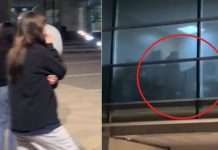 Sexo en la Municipalidad de Vitacura: funcionario despedido presentó una demanda por $200 millones de compensación